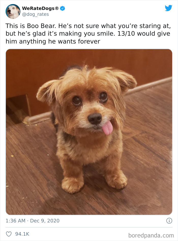 We-Rate-Dogs-Twitter