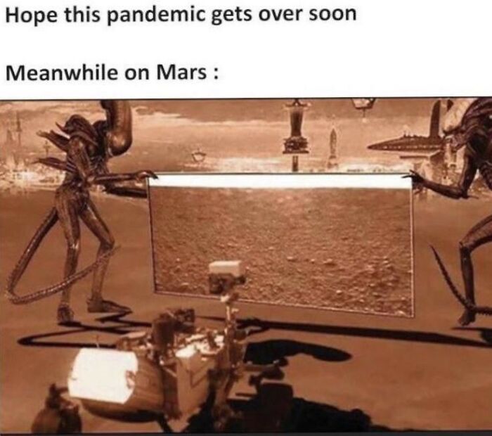 They Really Don't Want Us There