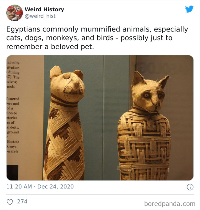 Weird-History-Twitter
