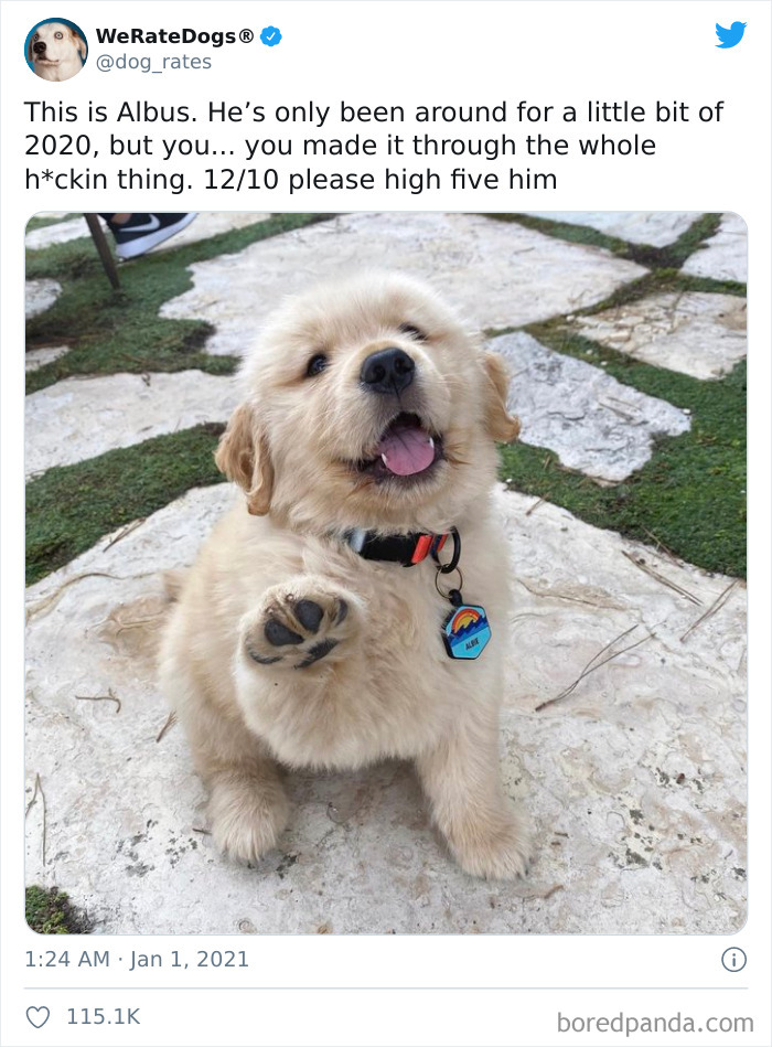 We-Rate-Dogs-Twitter