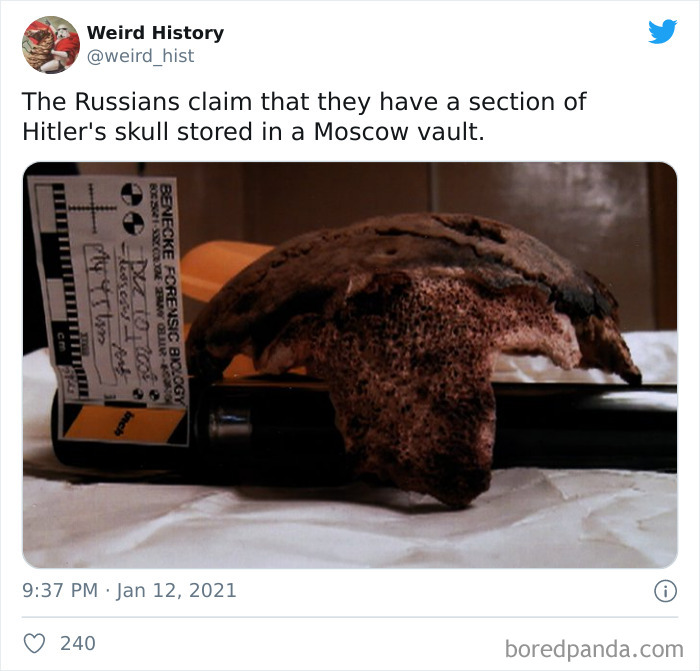 Weird-History-Twitter