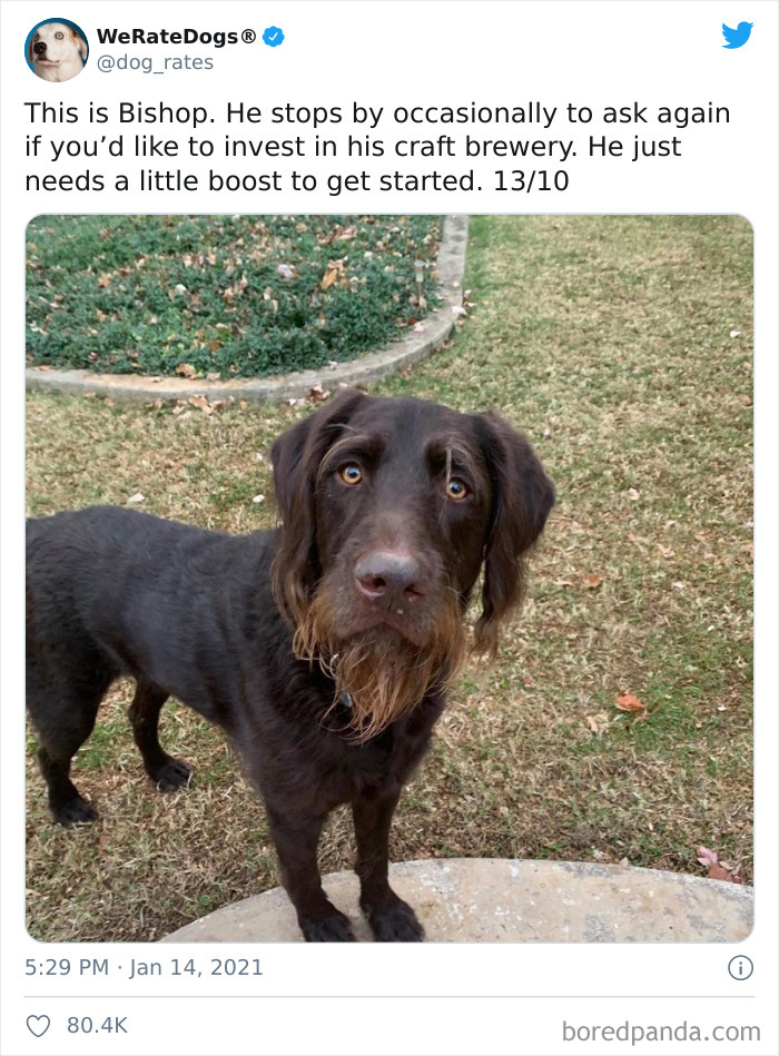 We-Rate-Dogs-Twitter