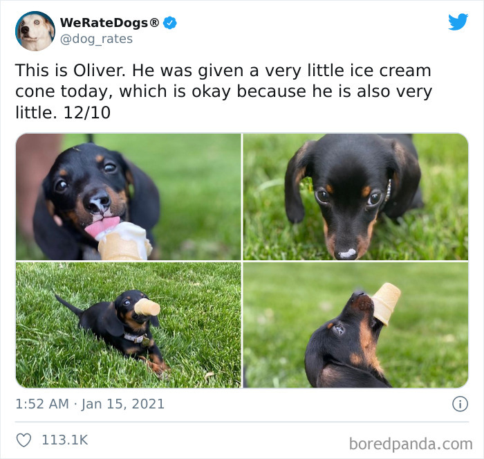 We-Rate-Dogs-Twitter