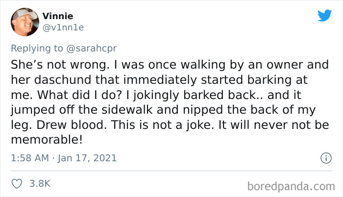 Funny-Informative-Dachshunds-Tweets