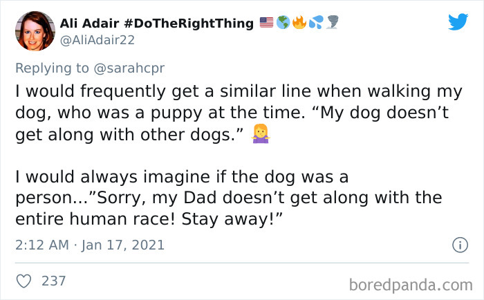 Funny-Informative-Dachshunds-Tweets