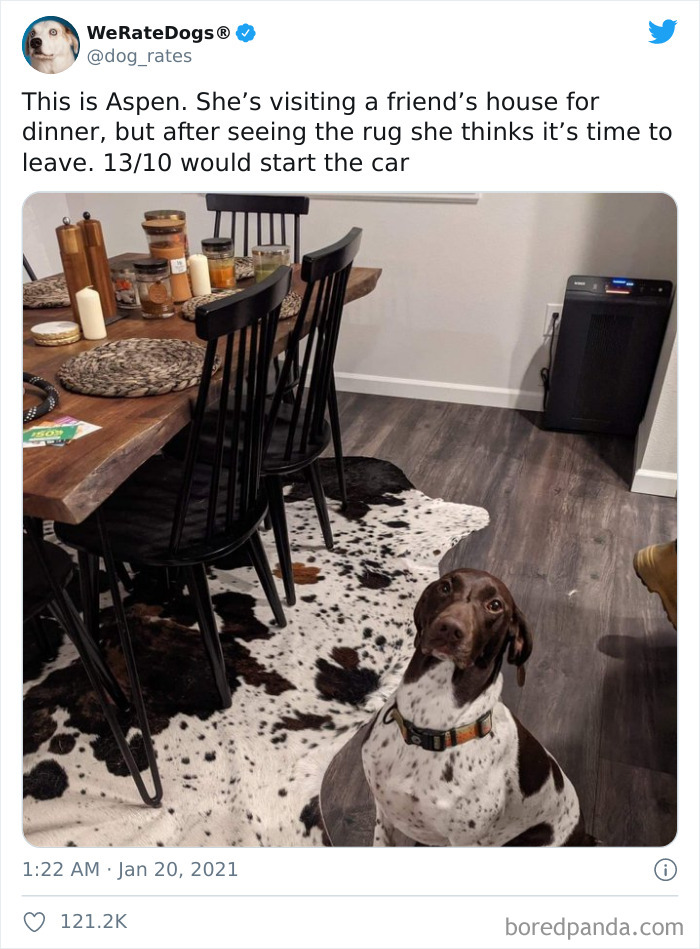 We-Rate-Dogs-Twitter