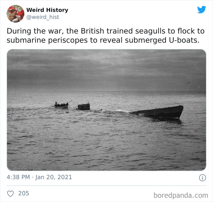 Weird-History-Twitter