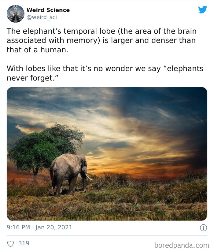 Weird-History-Twitter