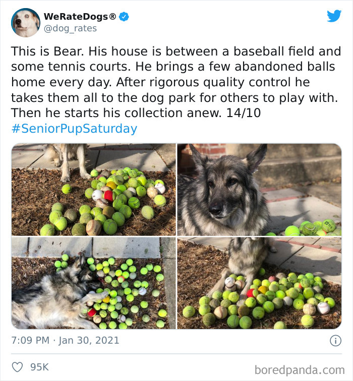 We-Rate-Dogs-Twitter