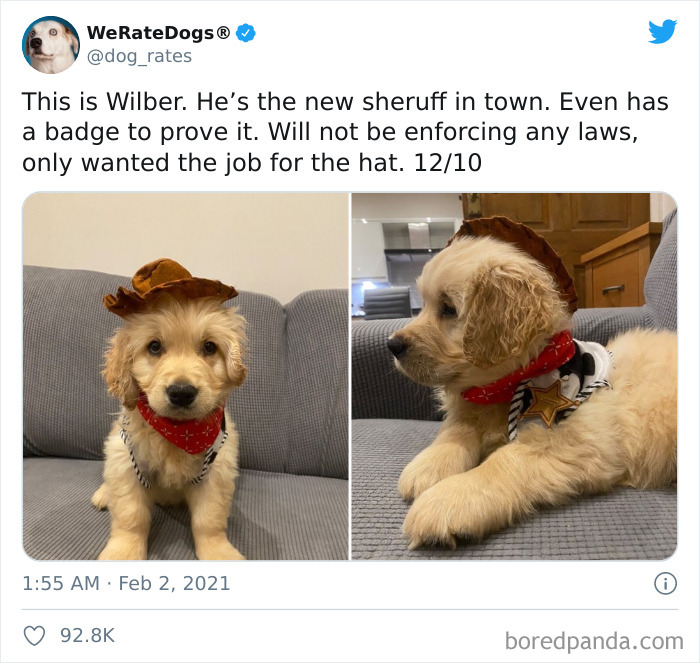 We-Rate-Dogs-Twitter