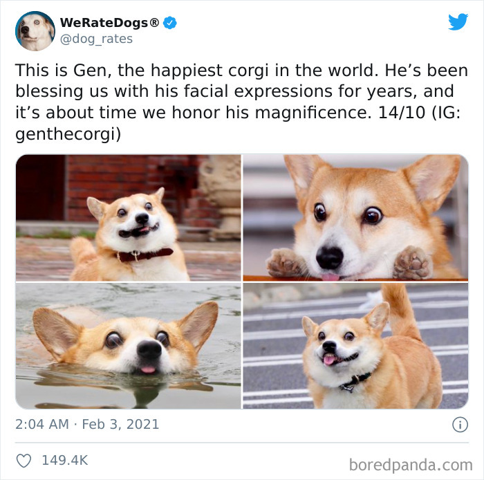 We-Rate-Dogs-Twitter