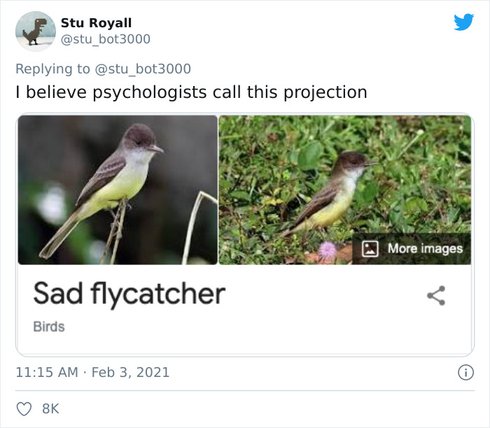 Sad flycatcher bird image with humorous caption on social media.