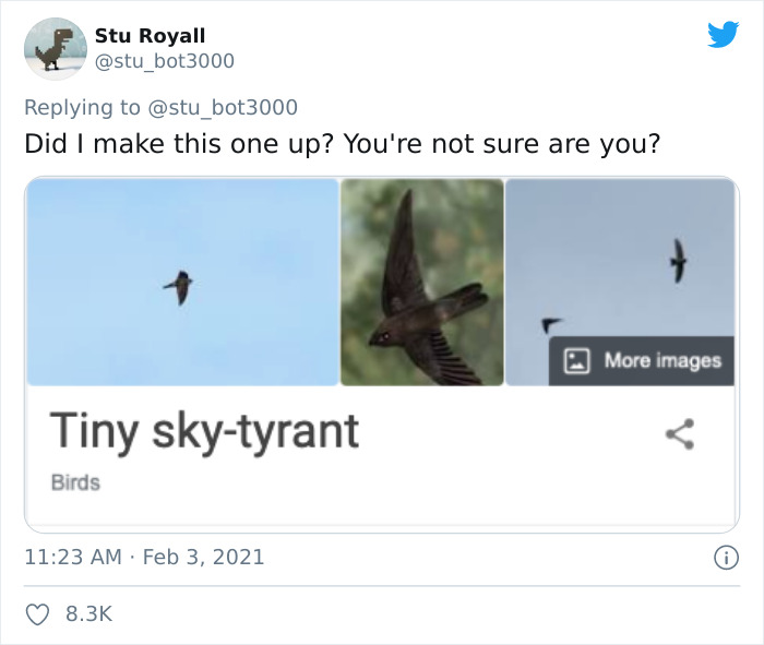 Funny bird name "Tiny sky-tyrant" with bird image and tweet reply text.