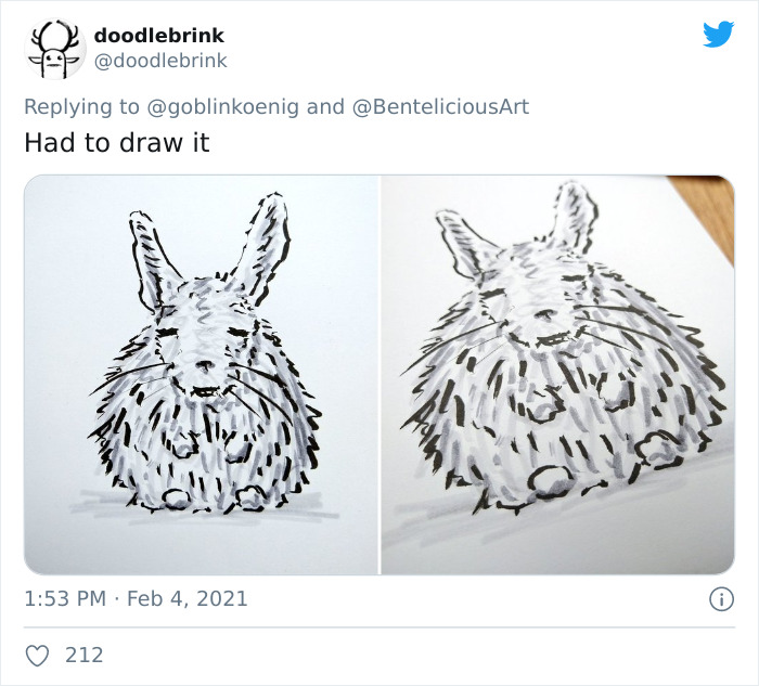 This Very Un-Entertained And Sleepy Creature From South America Is Everyone’s New Spirit Animal This Very Un-Entertained And Sleepy Creature From South America Is Everyone’s New Spirit Animal