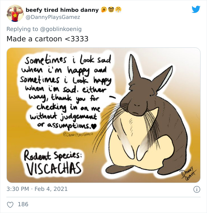 This Very Un-Entertained And Sleepy Creature From South America Is Everyone’s New Spirit Animal This Very Un-Entertained And Sleepy Creature From South America Is Everyone’s New Spirit Animal