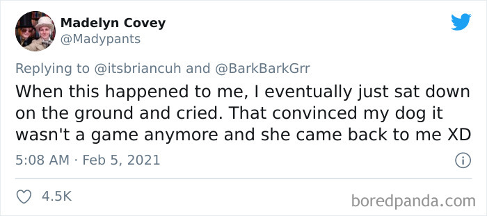 Chase-Dog-Down-The-Street-Game-Stories