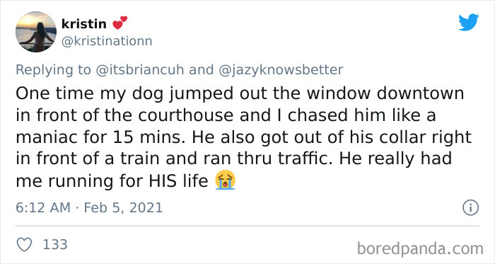 Chase-Dog-Down-The-Street-Game-Stories