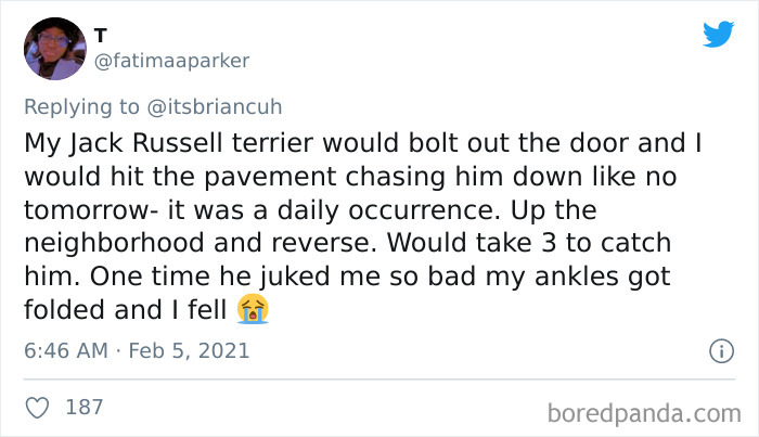 Chase-Dog-Down-The-Street-Game-Stories