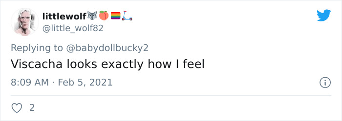 This Very Un-Entertained And Sleepy Creature From South America Is Everyone’s New Spirit Animal This Very Un-Entertained And Sleepy Creature From South America Is Everyone’s New Spirit Animal