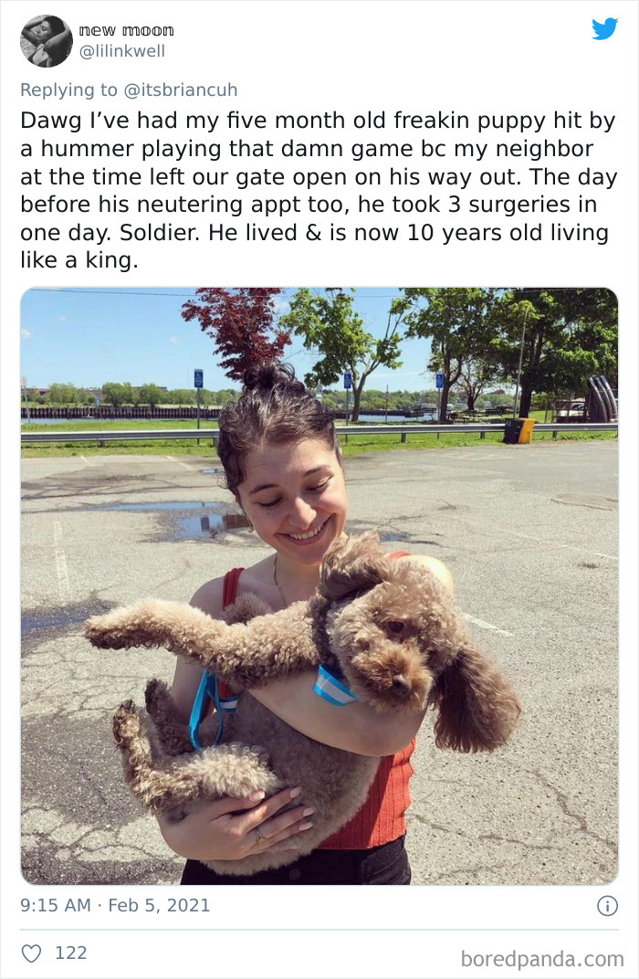 Chase-Dog-Down-The-Street-Game-Stories