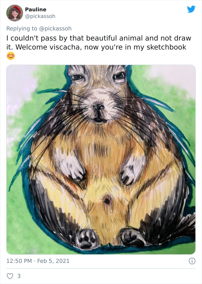 This Very Un-Entertained And Sleepy Creature From South America Is Everyone’s New Spirit Animal This Very Un-Entertained And Sleepy Creature From South America Is Everyone’s New Spirit Animal