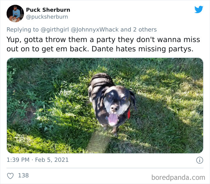 Chase-Dog-Down-The-Street-Game-Stories