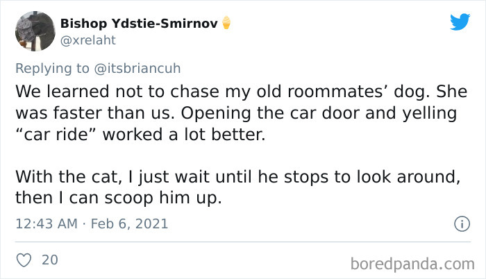 Chase-Dog-Down-The-Street-Game-Stories