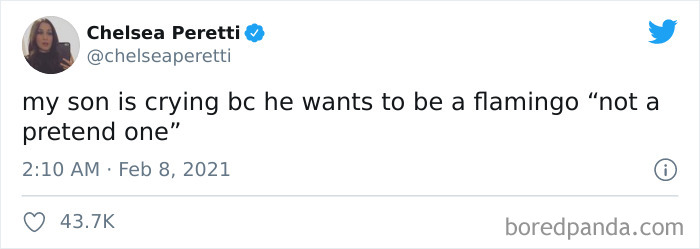 Parenting-Tweets-Of-The-Month-February