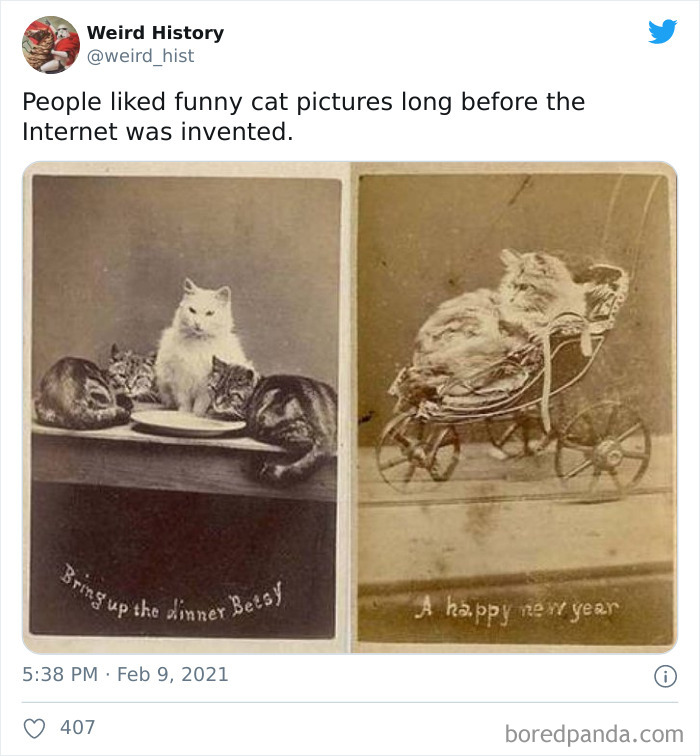 Weird-History-Twitter