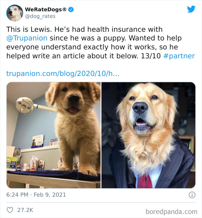 We-Rate-Dogs-Twitter