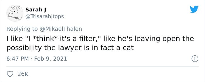 "I Believe You Have A Filter Turned On": Attorney Accidentally Shows Up With A Cat Filter On For A Zoom Court Hearing "I Believe You Have A Filter Turned On": Attorney Accidentally Shows Up With A Cat Filter On For A Zoom Court Hearing
