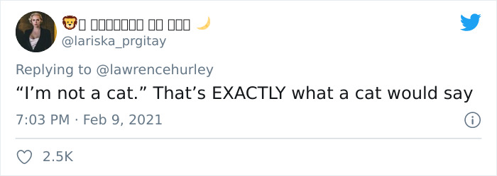 "I Believe You Have A Filter Turned On": Attorney Accidentally Shows Up With A Cat Filter On For A Zoom Court Hearing "I Believe You Have A Filter Turned On": Attorney Accidentally Shows Up With A Cat Filter On For A Zoom Court Hearing