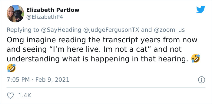 "I Believe You Have A Filter Turned On": Attorney Accidentally Shows Up With A Cat Filter On For A Zoom Court Hearing "I Believe You Have A Filter Turned On": Attorney Accidentally Shows Up With A Cat Filter On For A Zoom Court Hearing