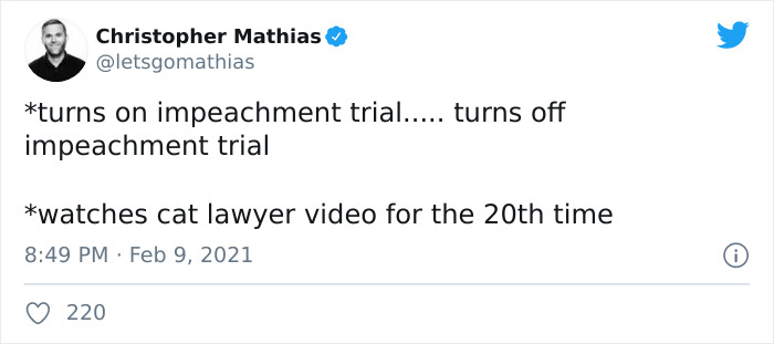 "I Believe You Have A Filter Turned On": Attorney Accidentally Shows Up With A Cat Filter On For A Zoom Court Hearing "I Believe You Have A Filter Turned On": Attorney Accidentally Shows Up With A Cat Filter On For A Zoom Court Hearing