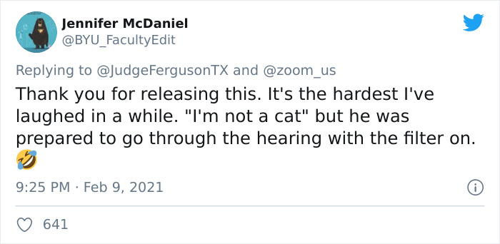 "I Believe You Have A Filter Turned On": Attorney Accidentally Shows Up With A Cat Filter On For A Zoom Court Hearing