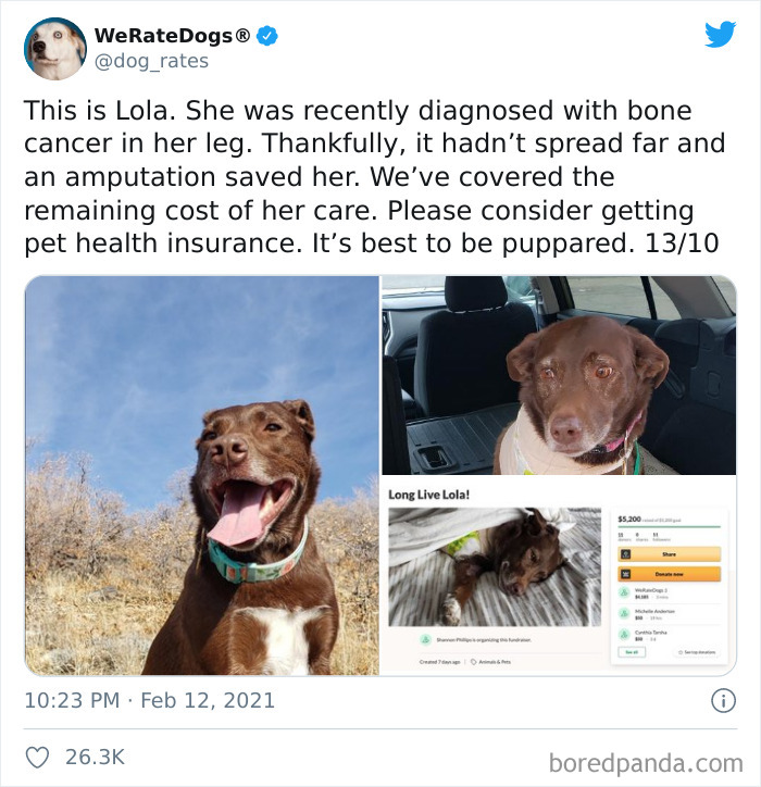 We-Rate-Dogs-Twitter