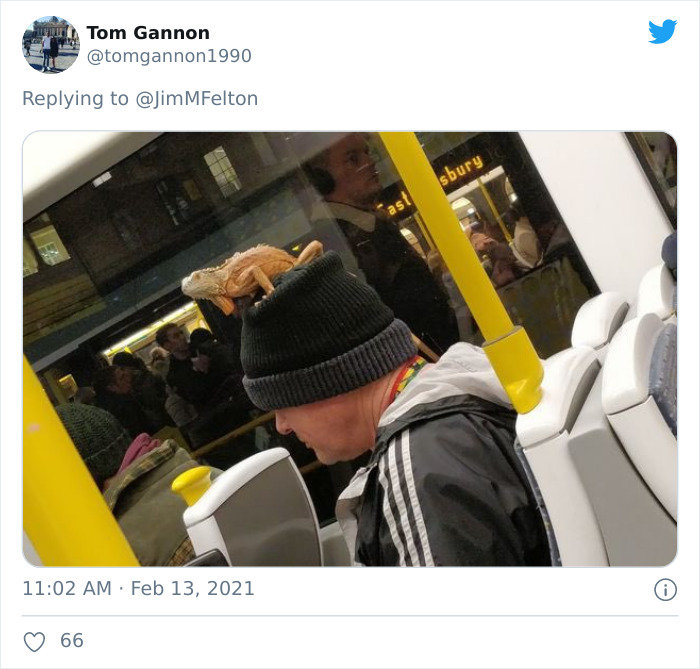 Weird-Things-People-Saw-Commuting