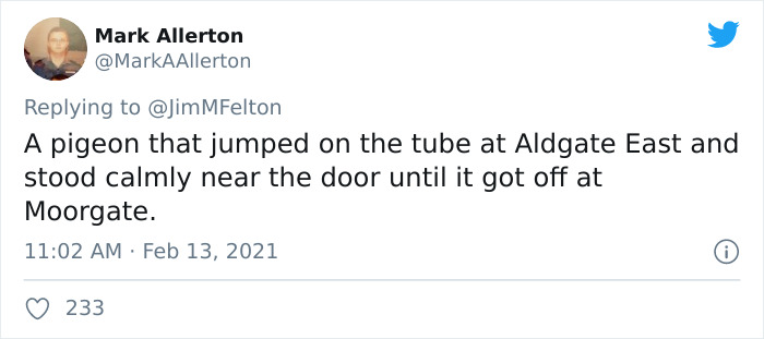 Weird-Things-People-Saw-Commuting