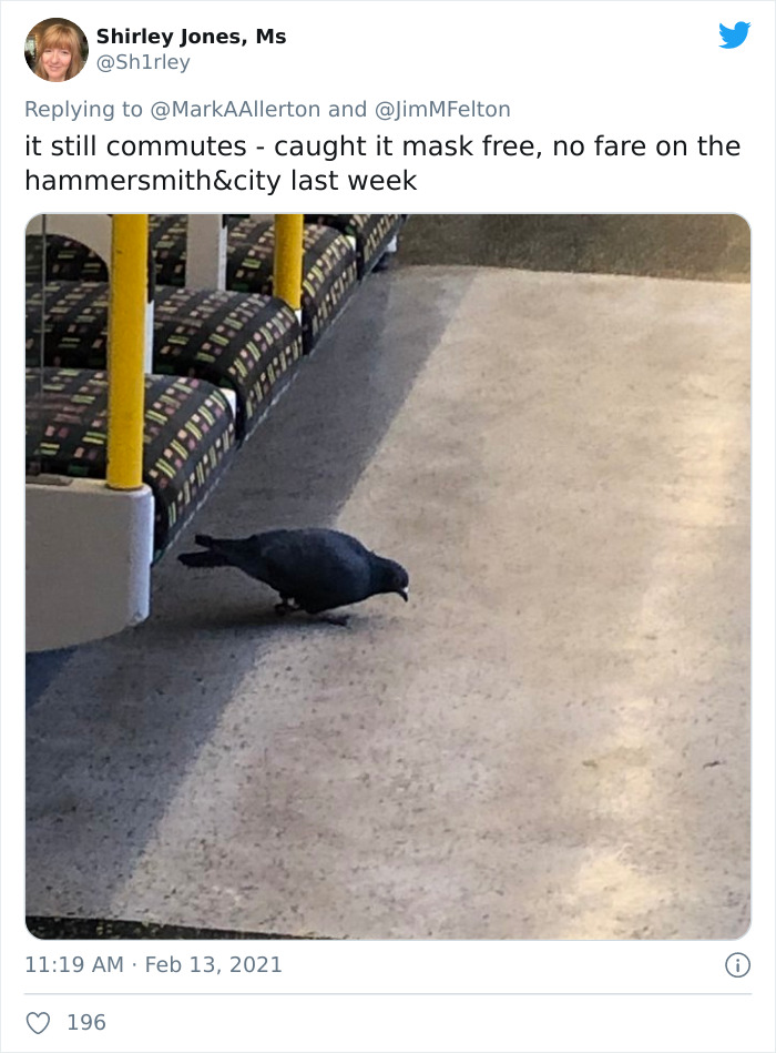 Weird-Things-People-Saw-Commuting