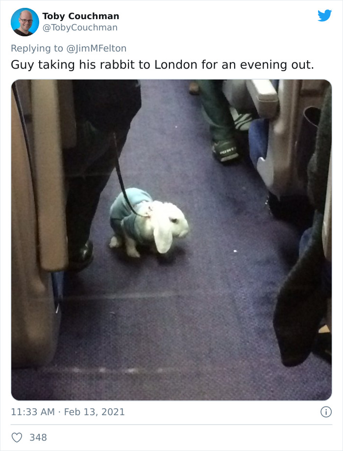 Weird-Things-People-Saw-Commuting