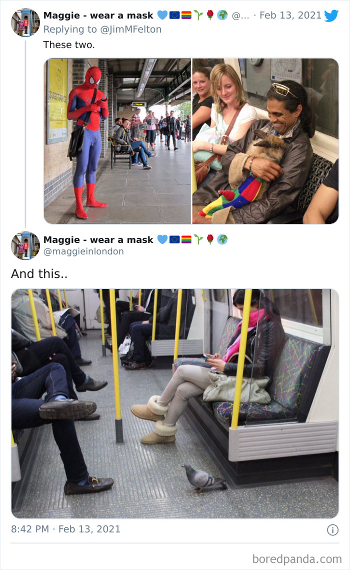 Weird-Things-People-Saw-Commuting
