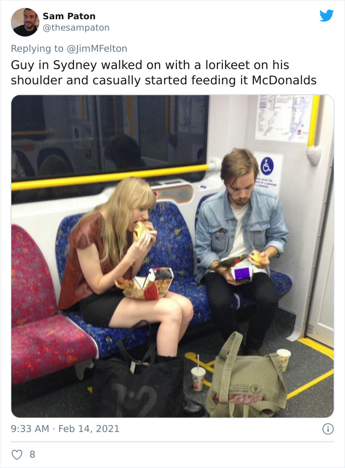 Weird-Things-People-Saw-Commuting