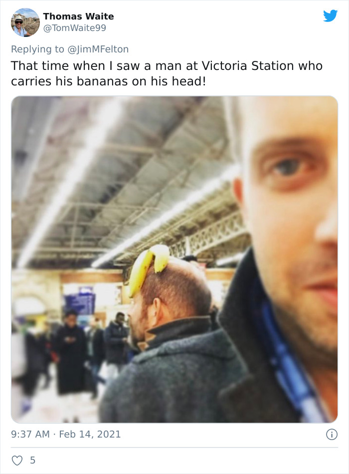 Weird-Things-People-Saw-Commuting