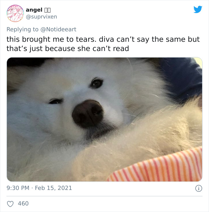 Dog Owner Creates A Comic About How Wrong The 'It's Just A Dog' Attitude Is Dog Owner Creates A Comic About How Wrong The 'It's Just A Dog' Attitude Is