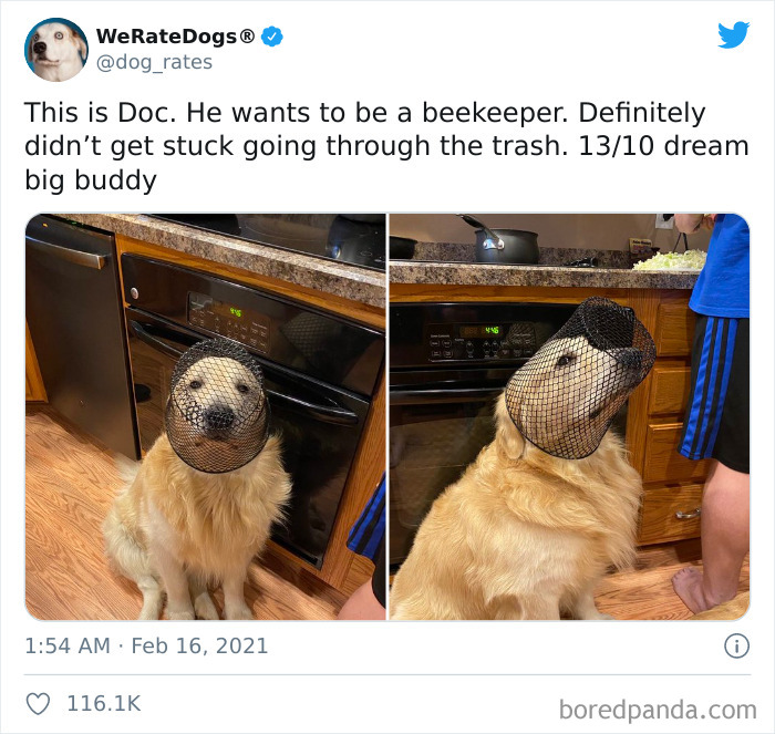 We-Rate-Dogs-Twitter
