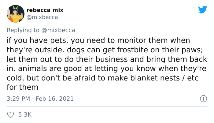 People From Places That Have Harsh Winters Are Sharing Tips For Texas On How To Deal With The Current Situation People From Places That Have Harsh Winters Are Sharing Tips For Texas On How To Deal With The Current Situation