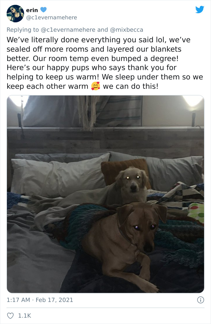 People From Places That Have Harsh Winters Are Sharing Tips For Texas On How To Deal With The Current Situation People From Places That Have Harsh Winters Are Sharing Tips For Texas On How To Deal With The Current Situation