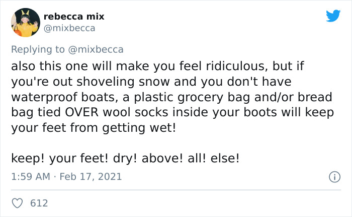 People From Places That Have Harsh Winters Are Sharing Tips For Texas On How To Deal With The Current Situation