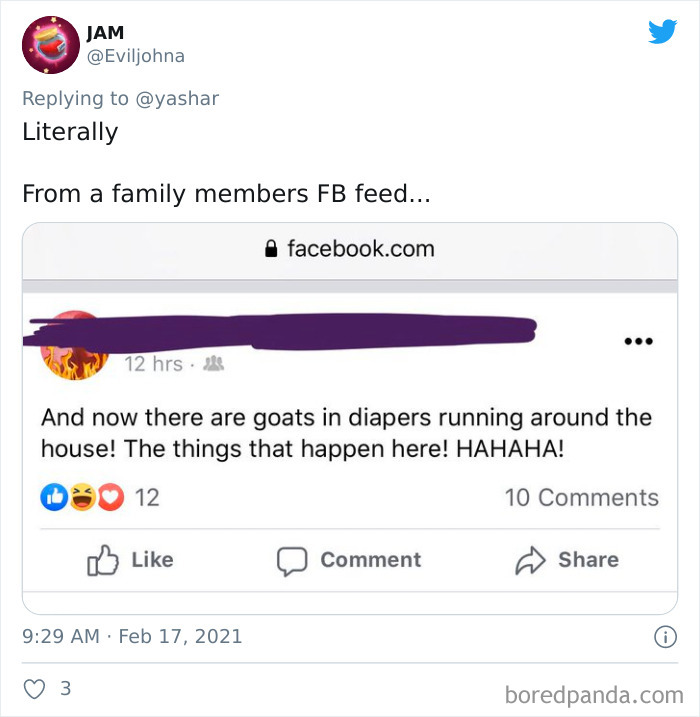 Wild-Farm-Animals-Rescue-Texas-Winter-Storm