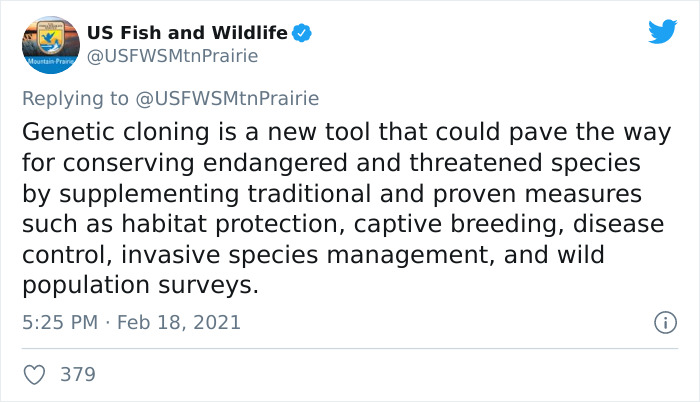 Scientists Successfully Clone A Ferret That Died In 1988, And This Might Be A Way Of Protecting Endangered Species Scientists Successfully Clone A Ferret That Died In 1988, And This Might Be A Way Of Protecting Endangered Species